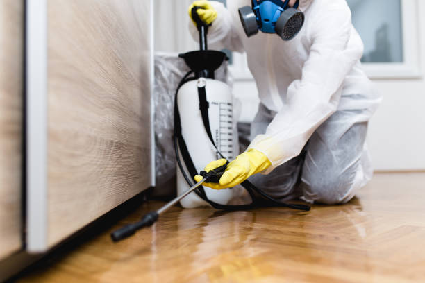Best Flea Control Services  in Utica, MI