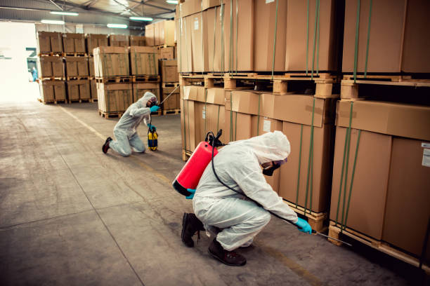 Best Rat Extermination Near Me  in Utica, MI