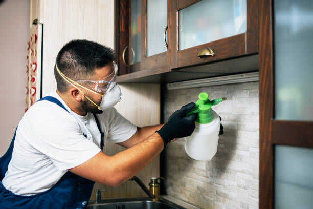 Best Termite Control Services  in Utica, MI