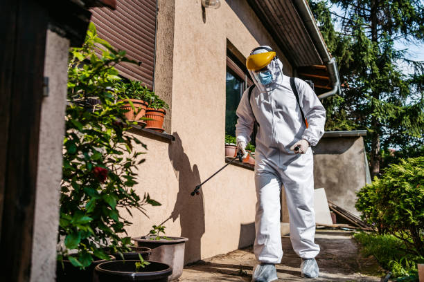 Best Affordable Exterminators  in Utica, MI