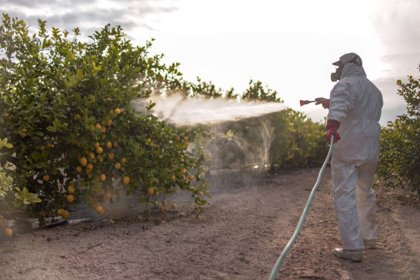 Best Exterminator Services  in Utica, MI