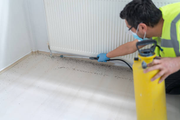 Best Bed Bug Extermination  in Utica, MI