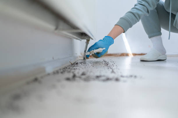 Best Affordable Pest Control Services  in Utica, MI