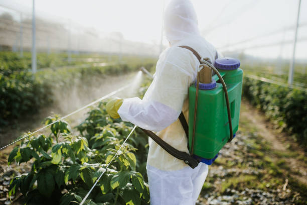 Best Pest Removal Services  in Utica, MI